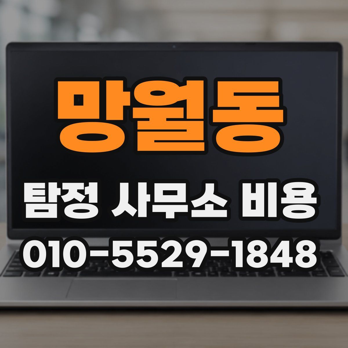 망월동 탐정 사무소 비용