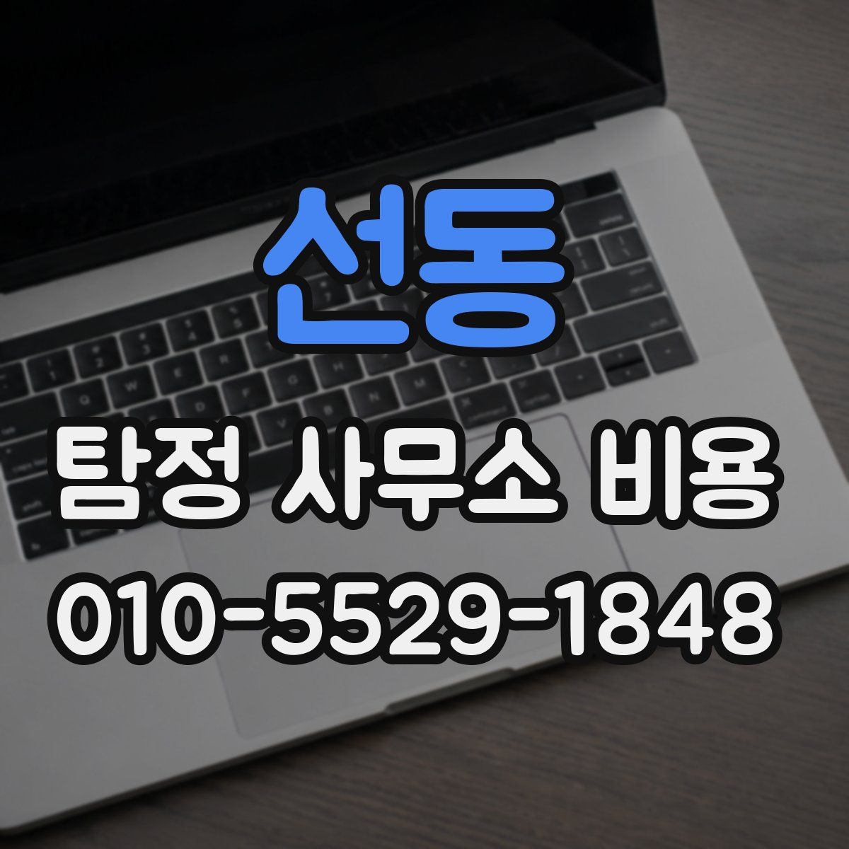선동 탐정 사무소 비용