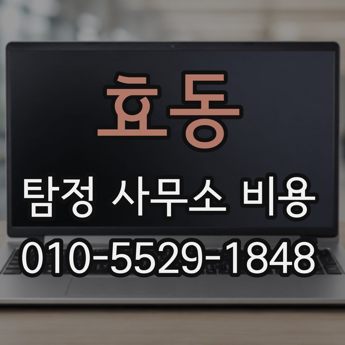 효동 탐정 사무소 비용