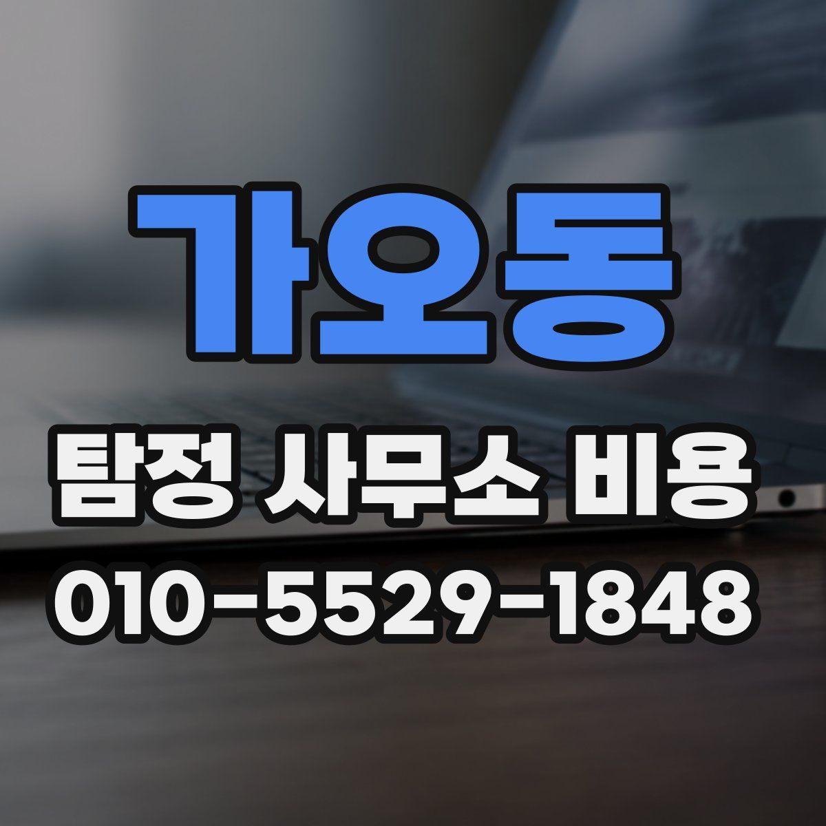 가오동 탐정 사무소 비용