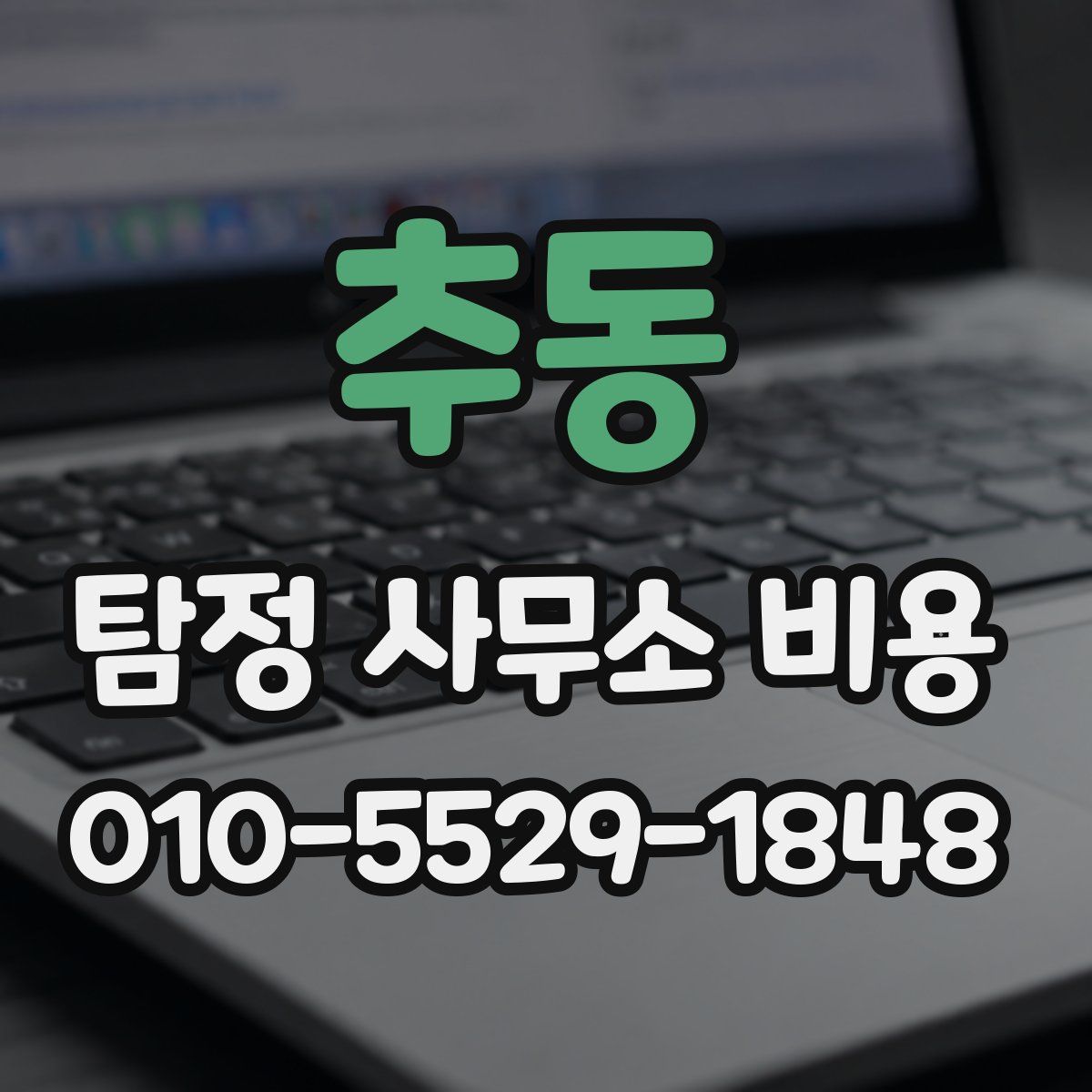 추동 탐정 사무소 비용