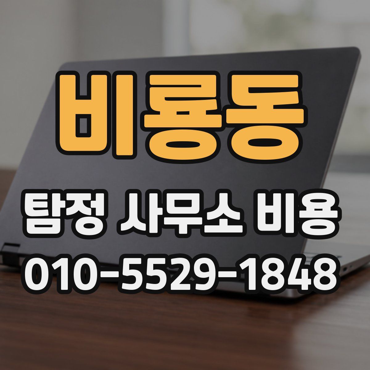 비룡동 탐정 사무소 비용