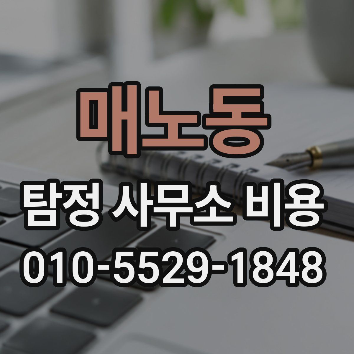 매노동 탐정 사무소 비용