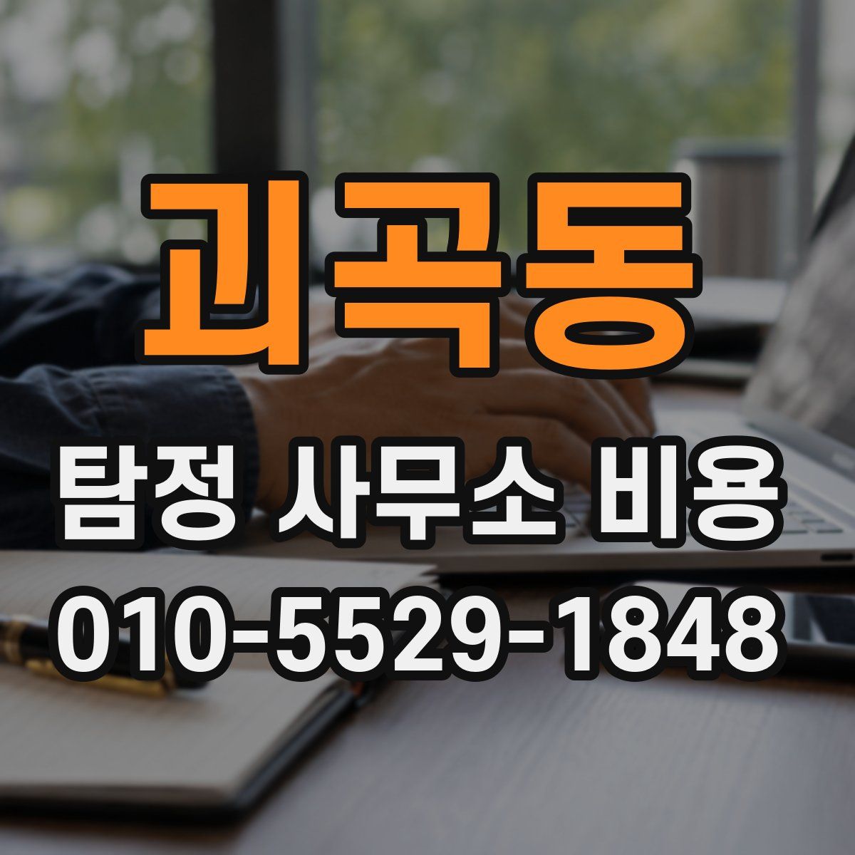 괴곡동 탐정 사무소 비용