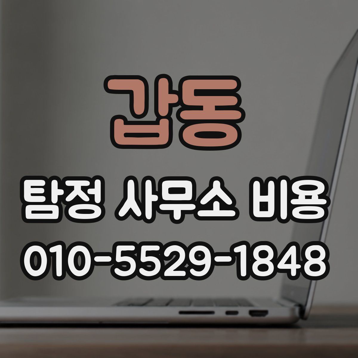 갑동 탐정 사무소 비용