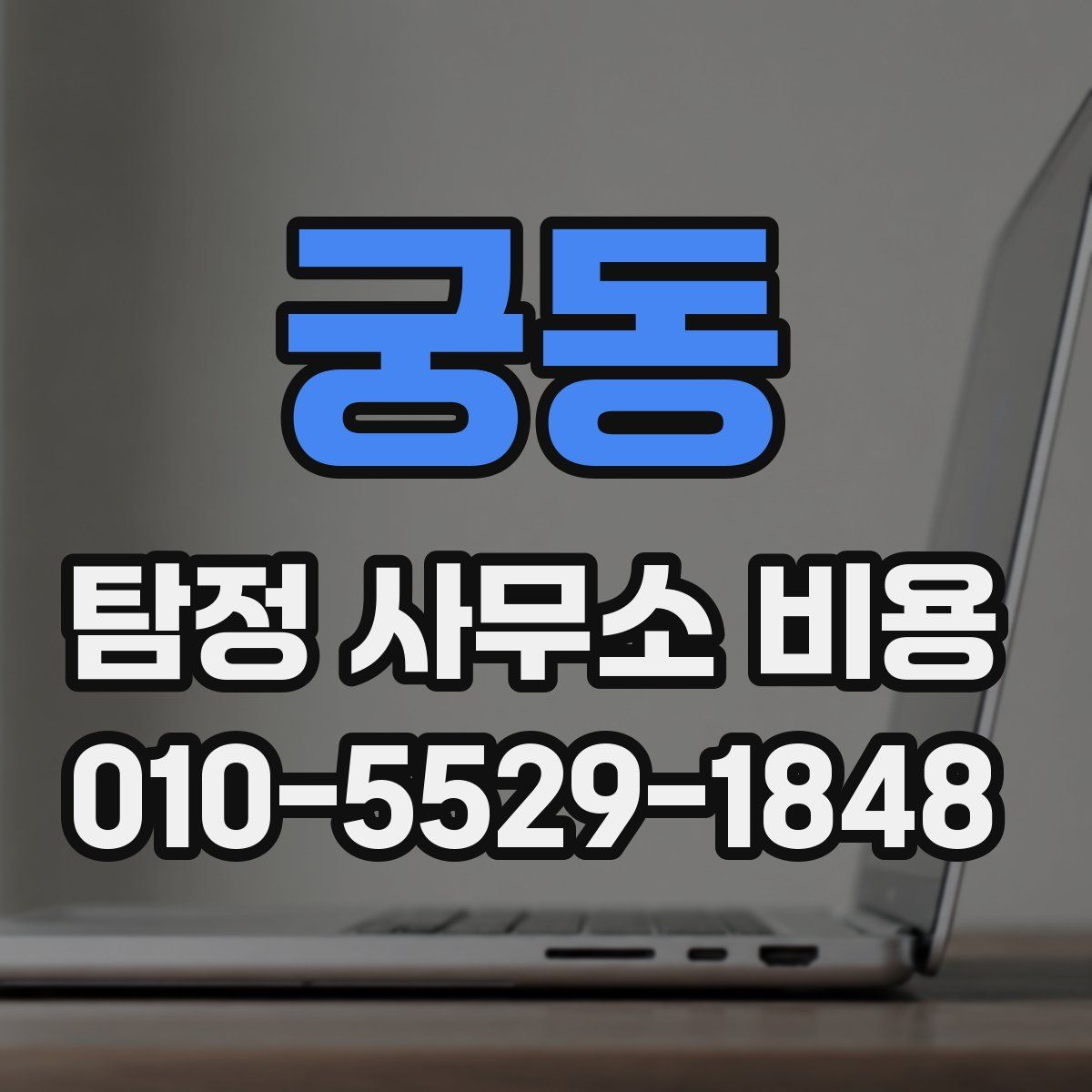 궁동 탐정 사무소 비용