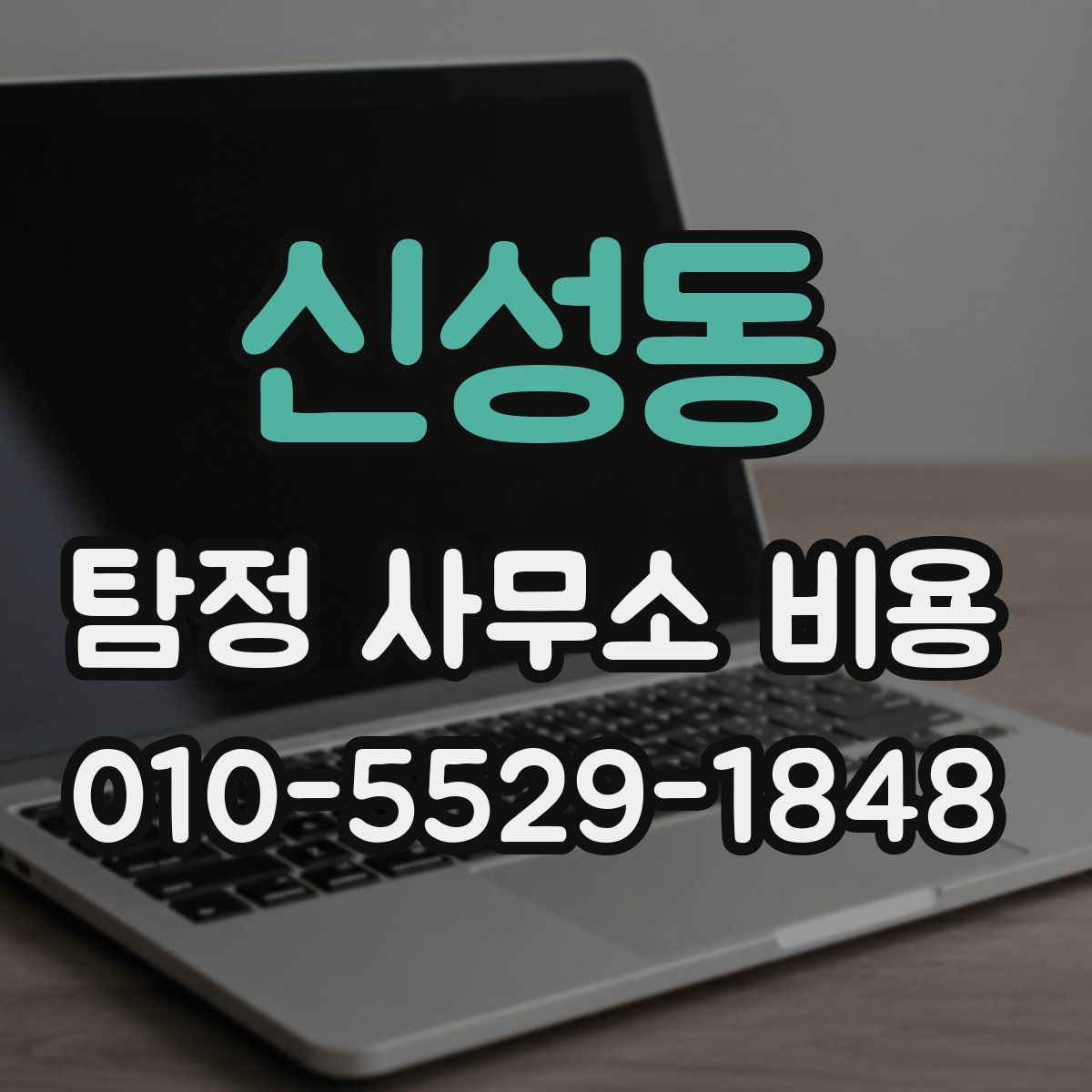 신성동 탐정 사무소 비용