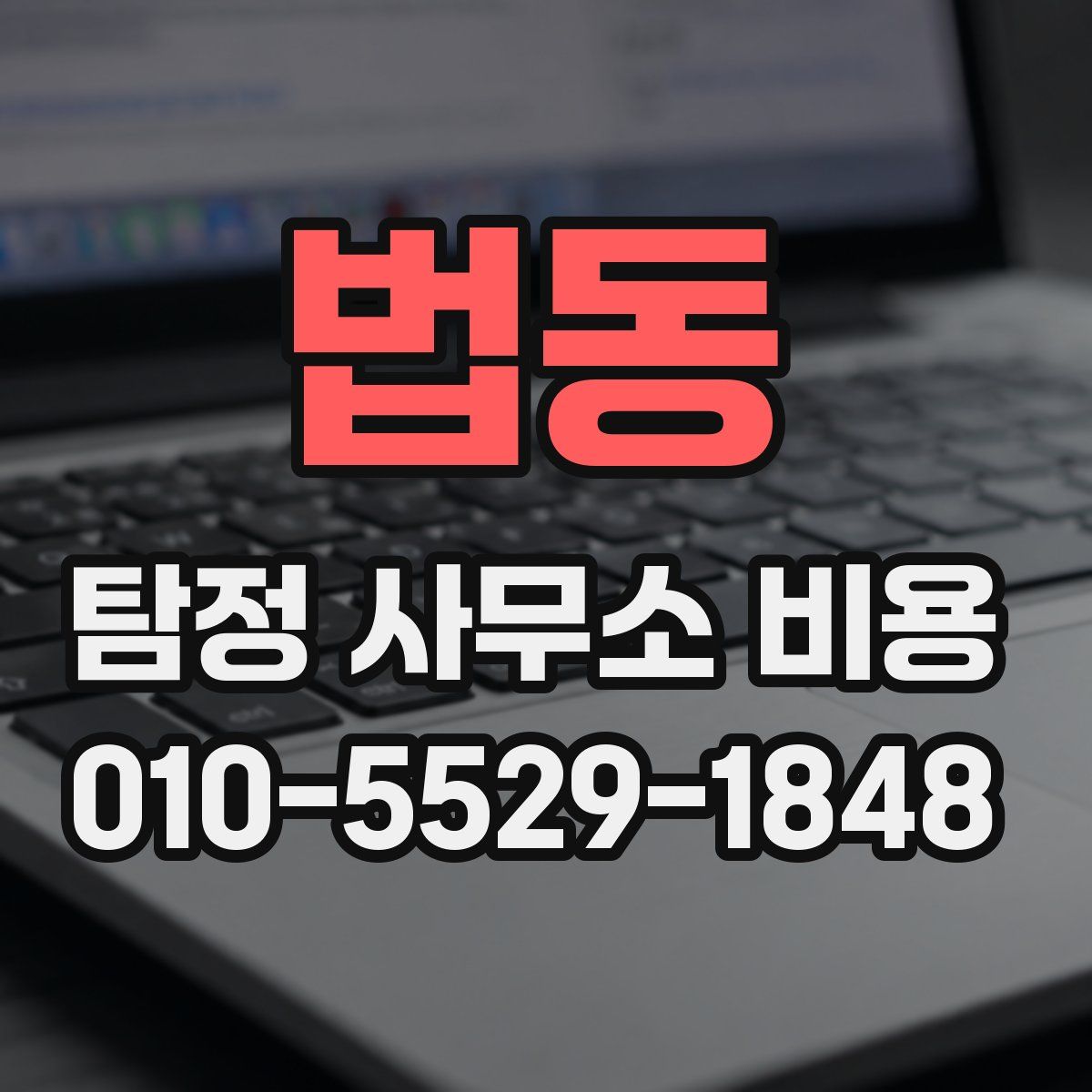 법동 탐정 사무소 비용