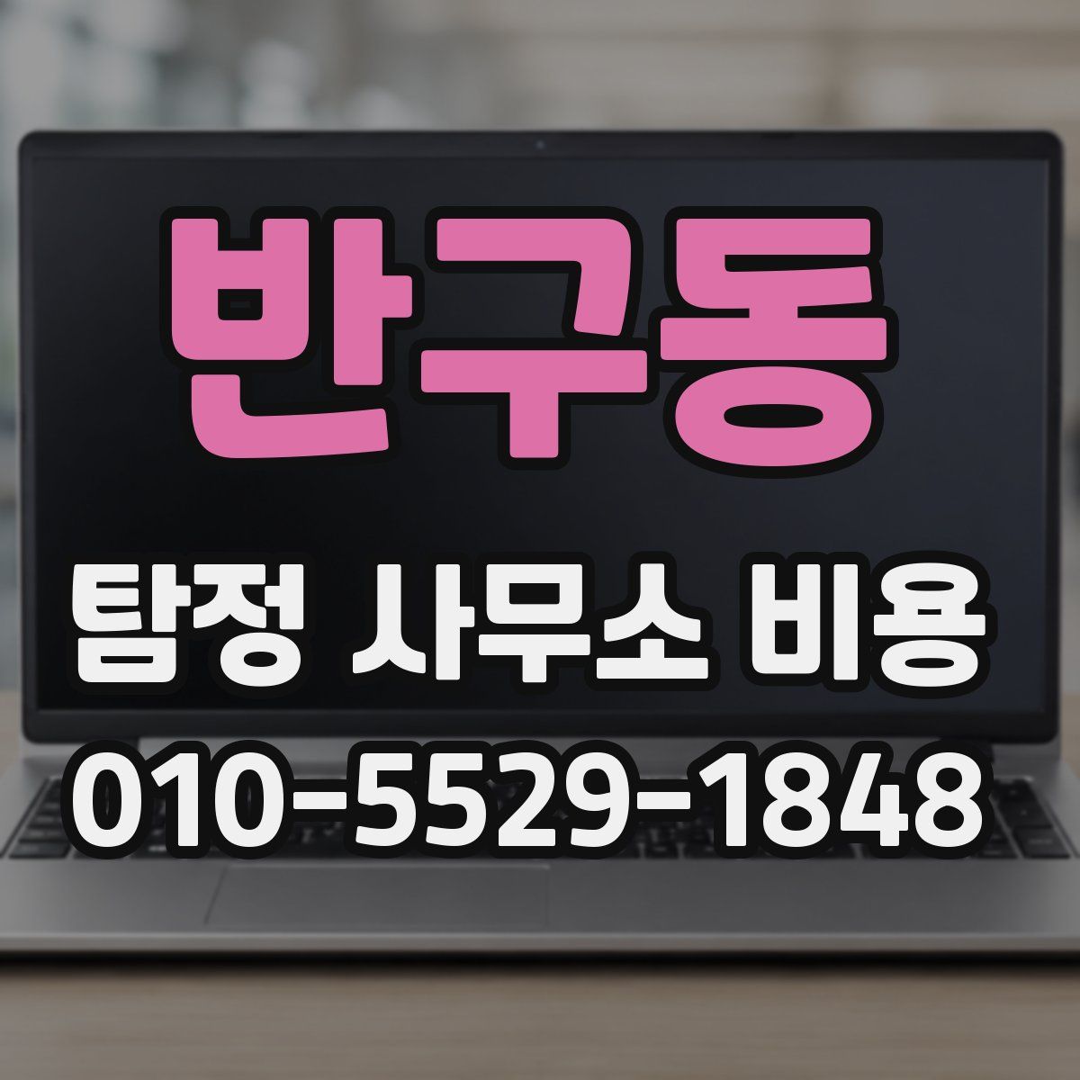 반구동 탐정 사무소 비용