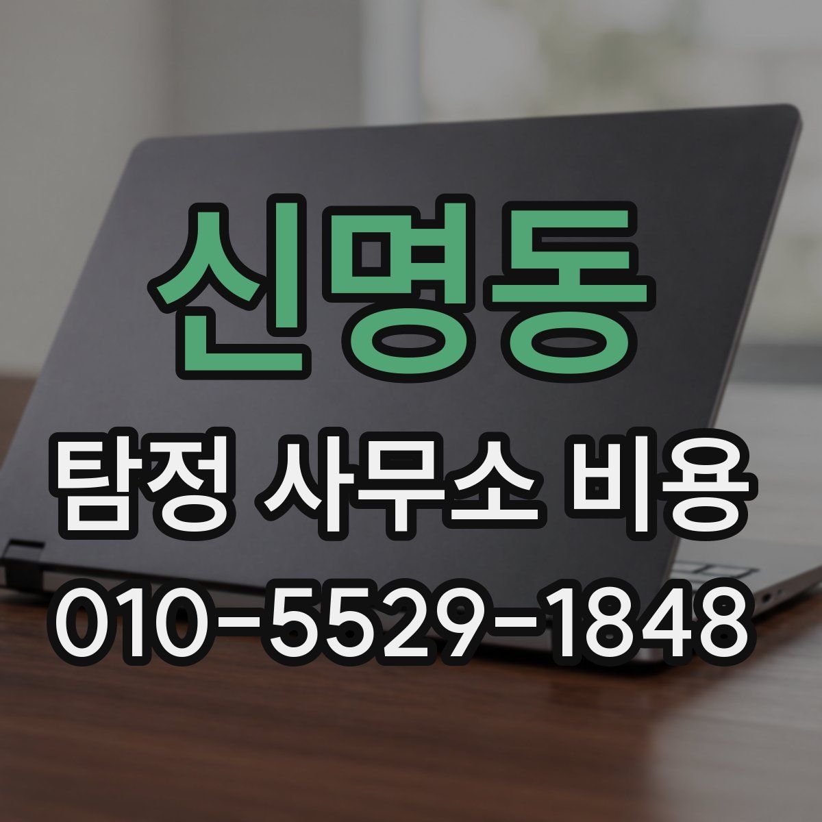 신명동 탐정 사무소 비용