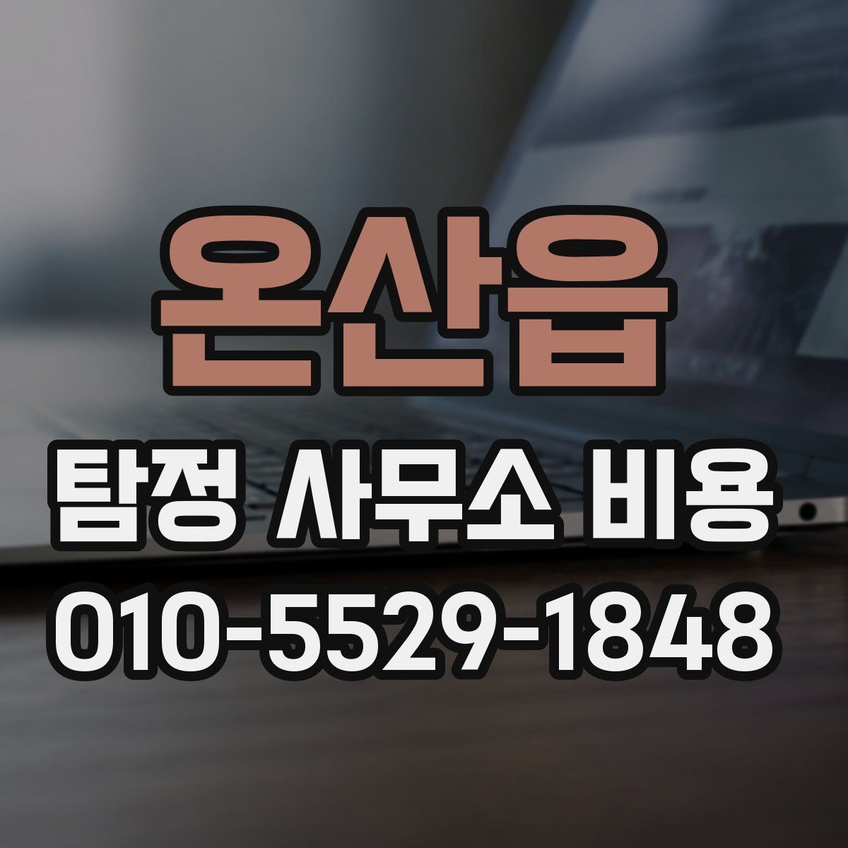 온산읍 탐정 사무소 비용