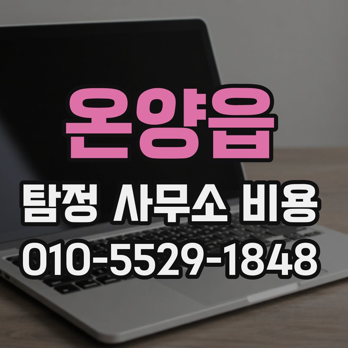 온양읍 탐정 사무소 비용