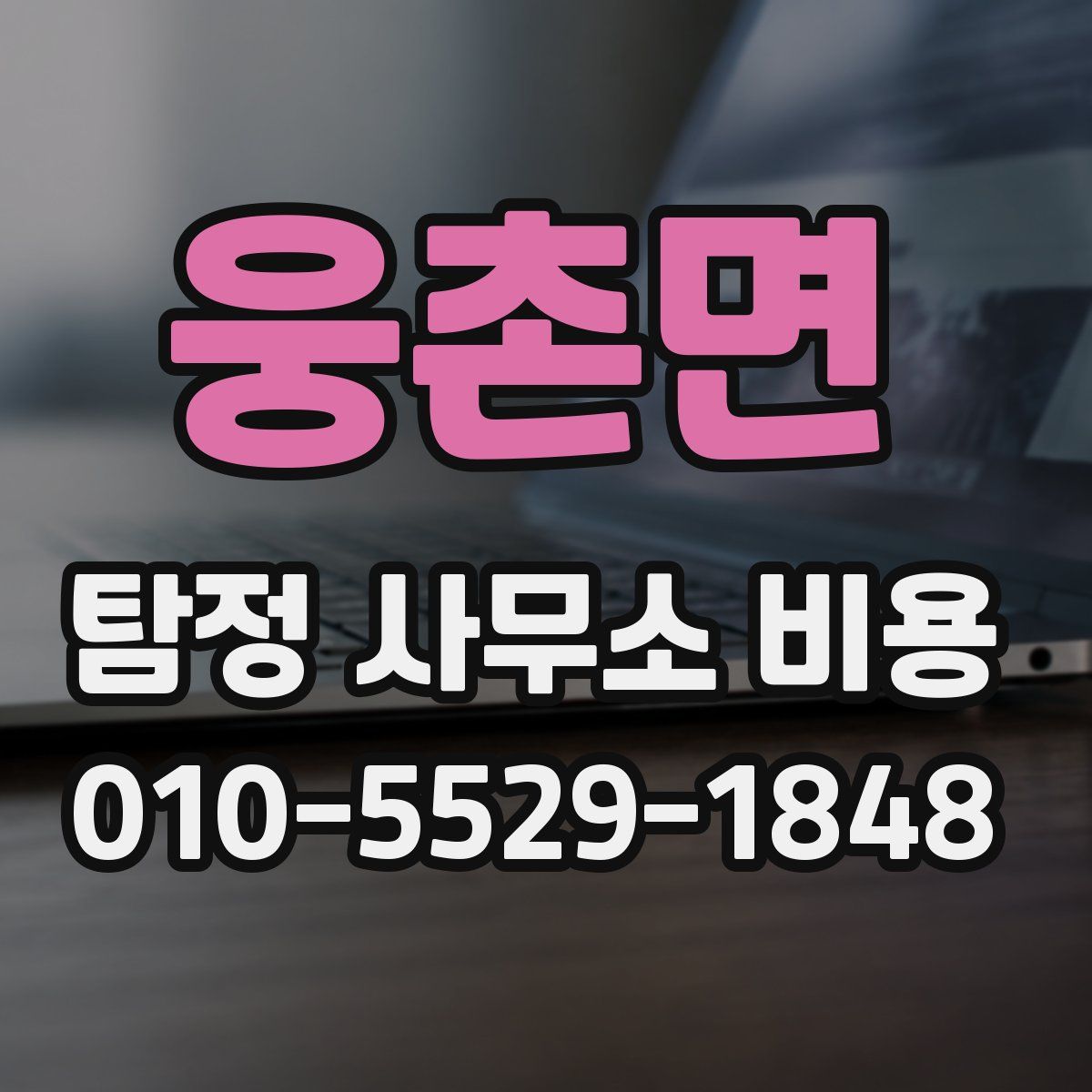 웅촌면 탐정 사무소 비용