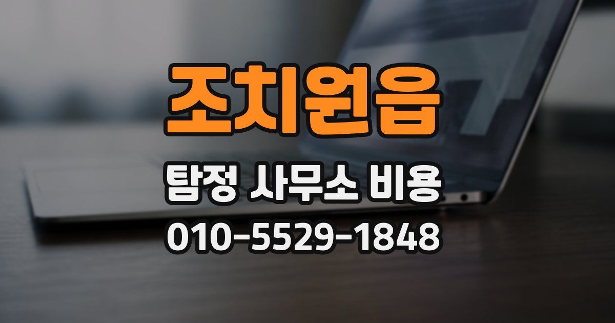 조치원읍 탐정 사무소 비용