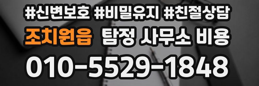 조치원읍 탐정 사무소 비용