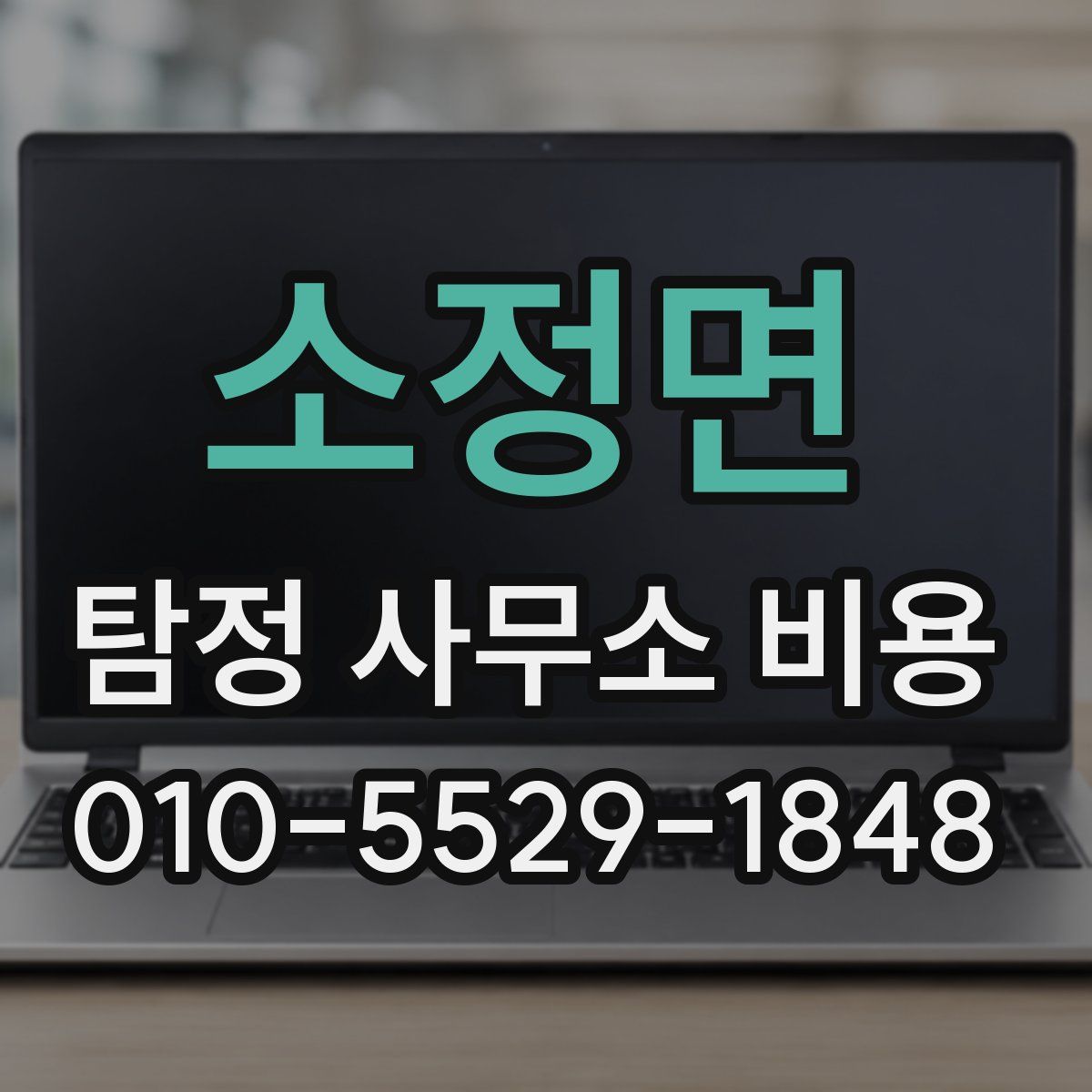 소정면 탐정 사무소 비용