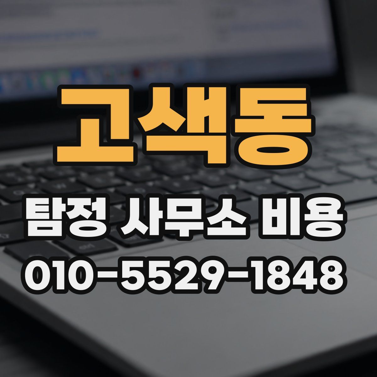 고색동 탐정 사무소 비용