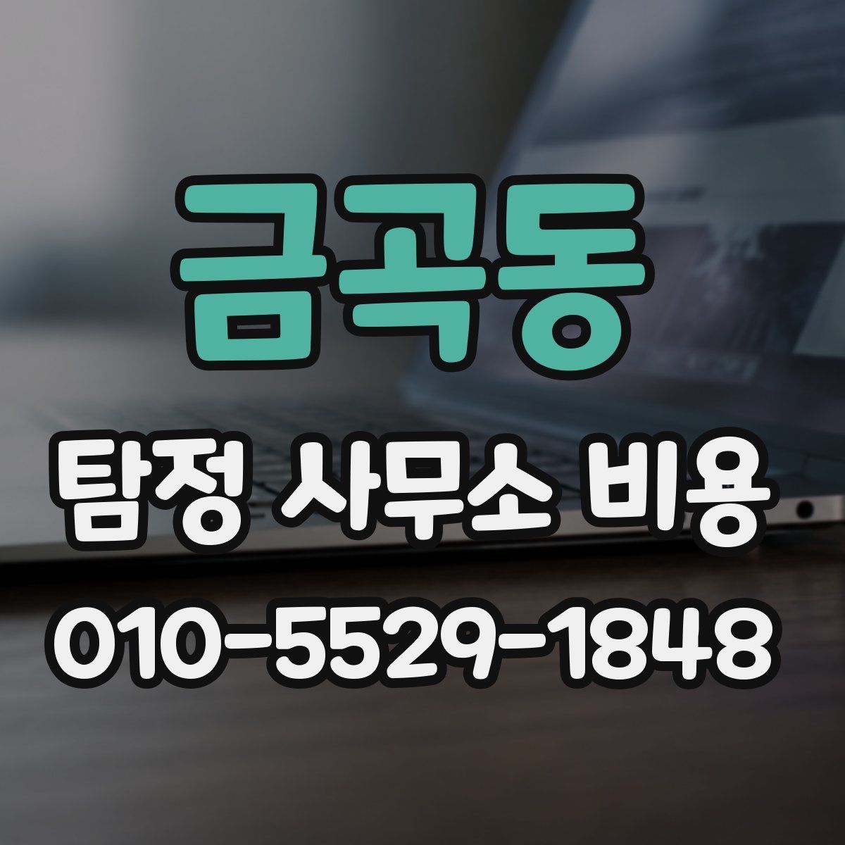 금곡동 탐정 사무소 비용