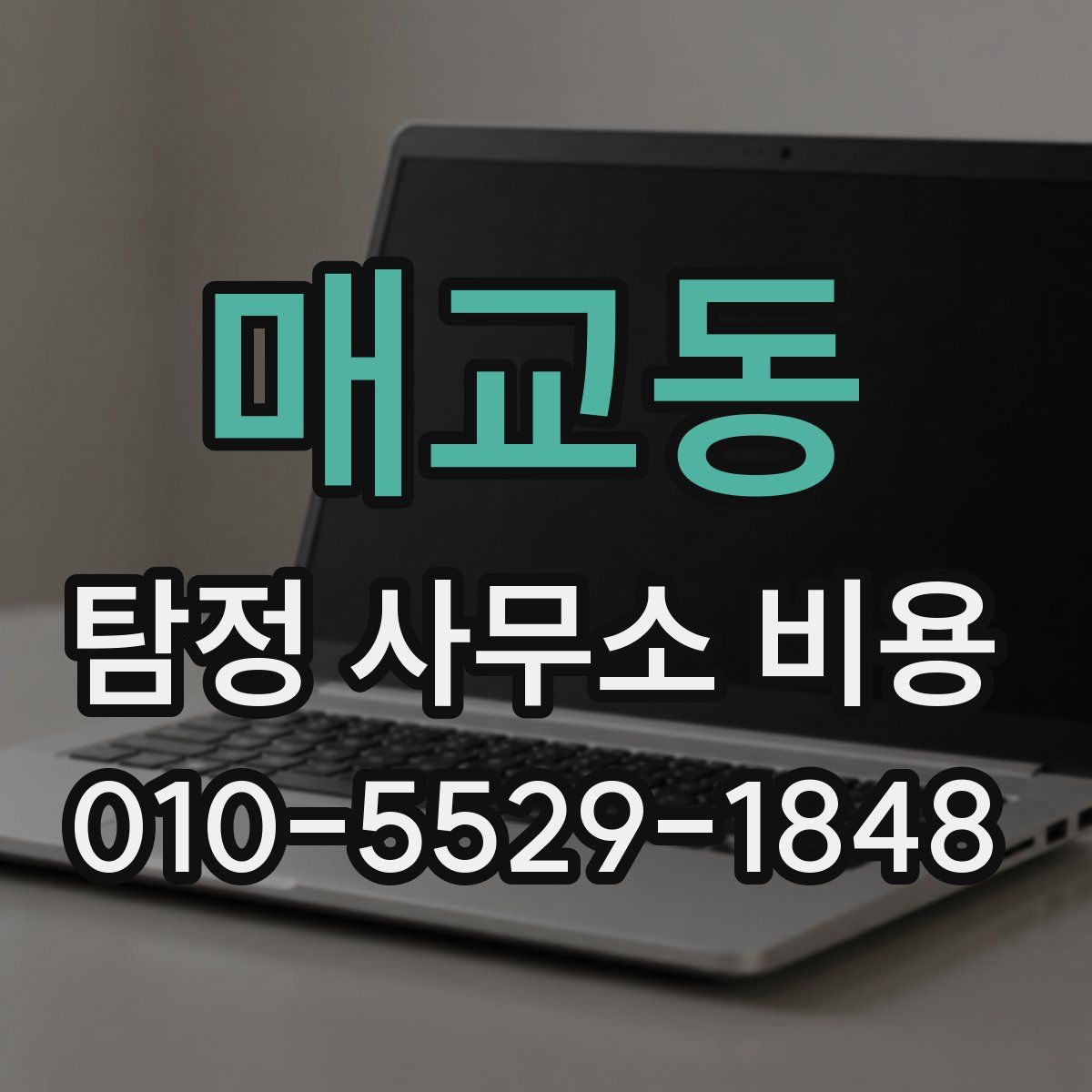 매교동 탐정 사무소 비용