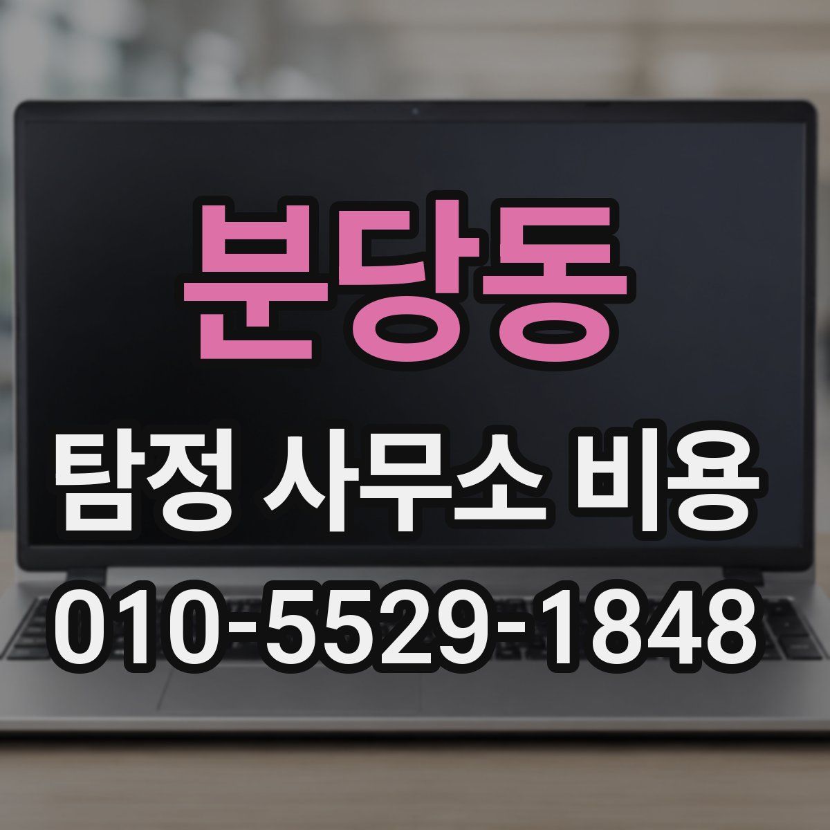 분당동 탐정 사무소 비용