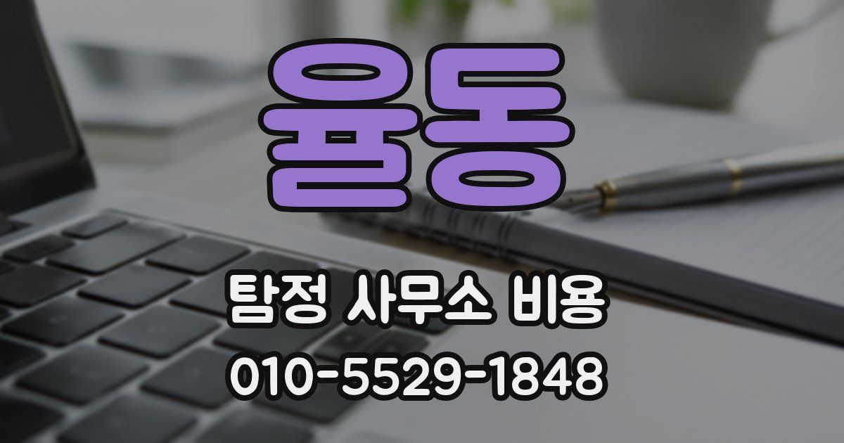 율동 탐정 사무소 비용