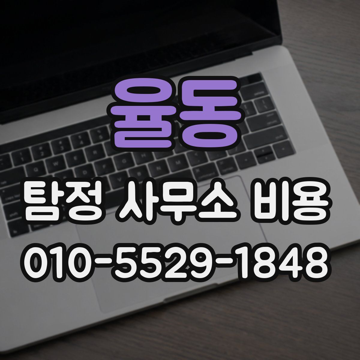 율동 탐정 사무소 비용