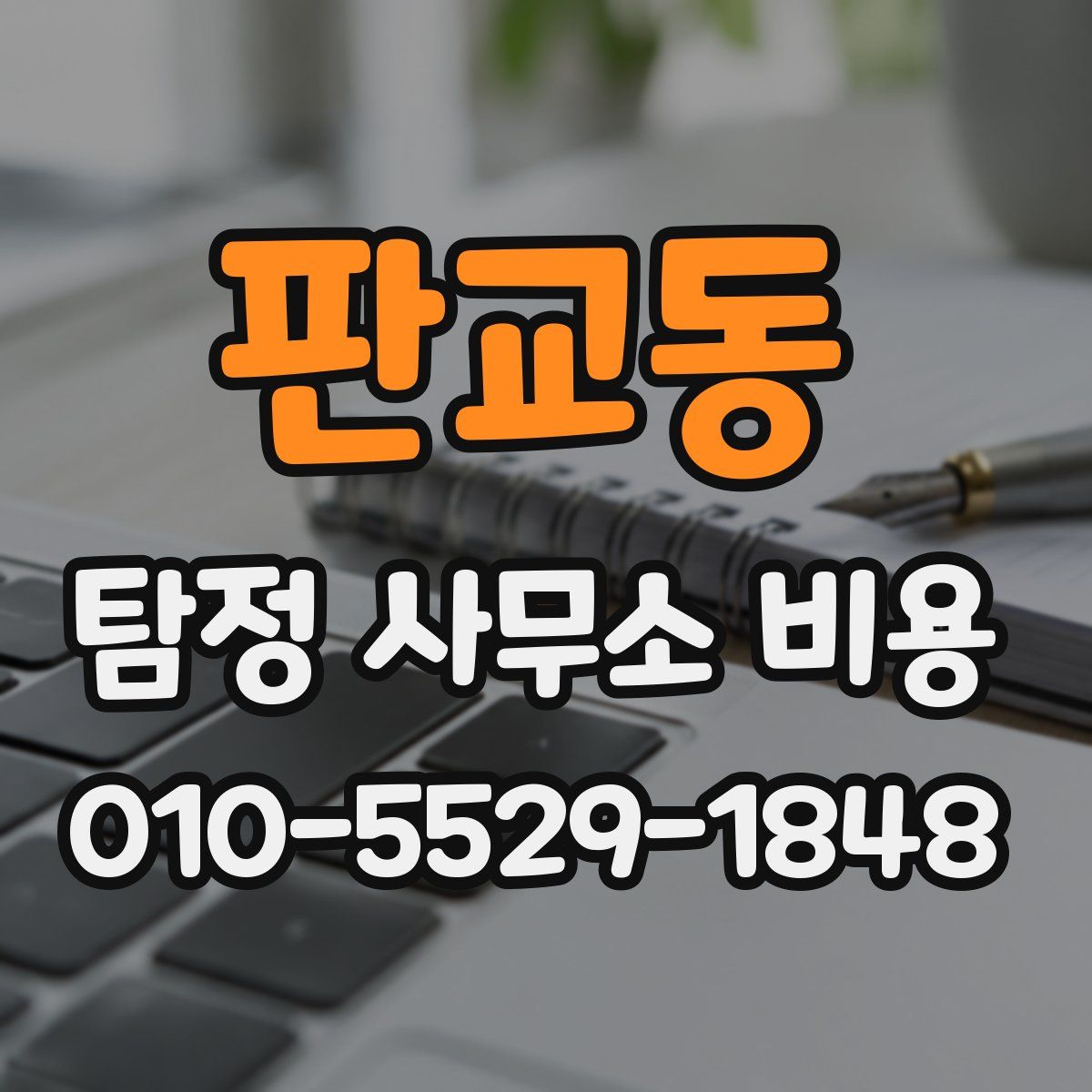 판교동 탐정 사무소 비용