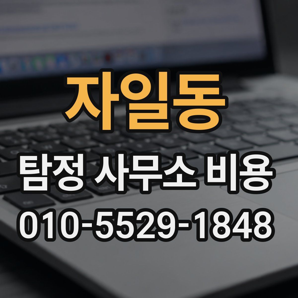 자일동 탐정 사무소 비용
