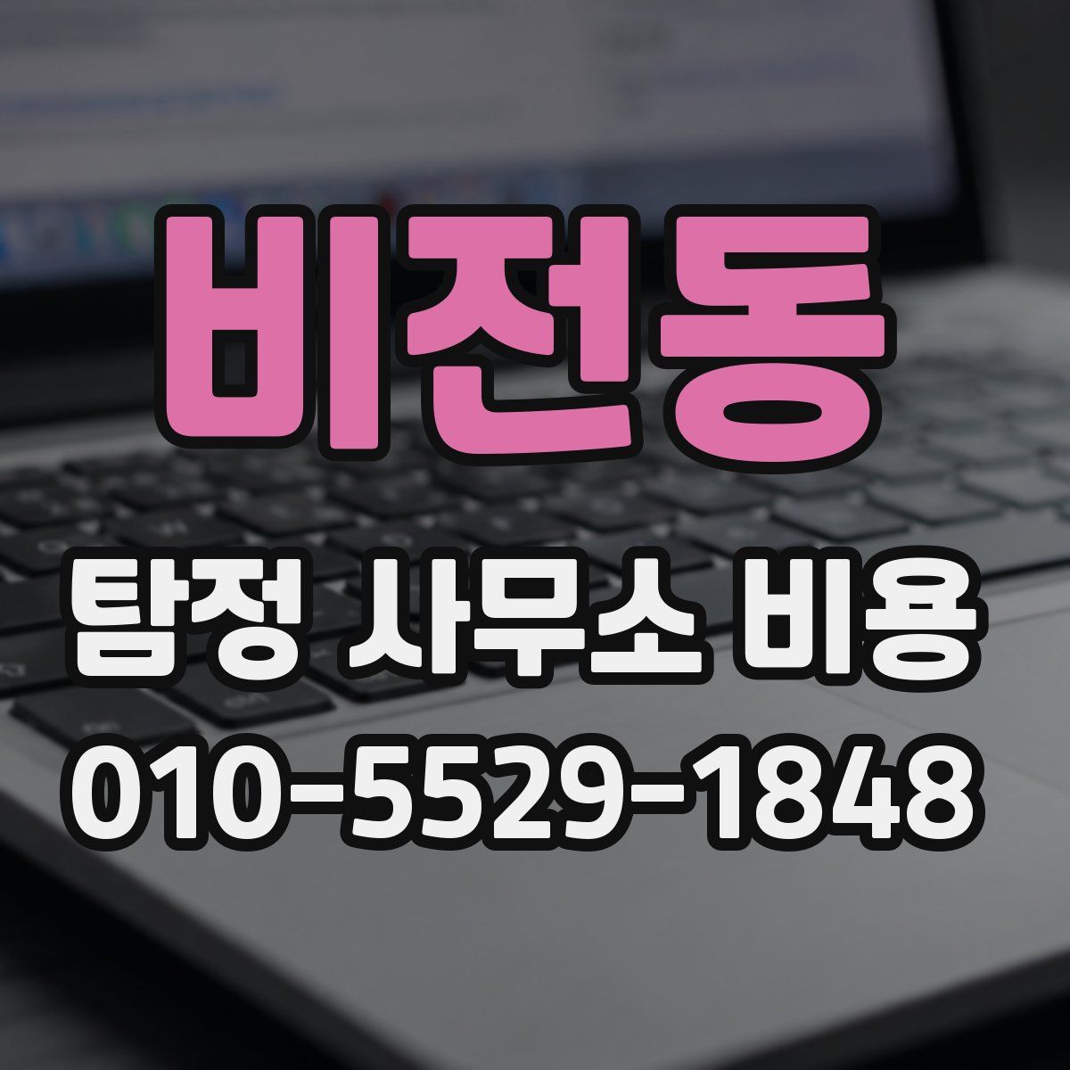 비전동 탐정 사무소 비용
