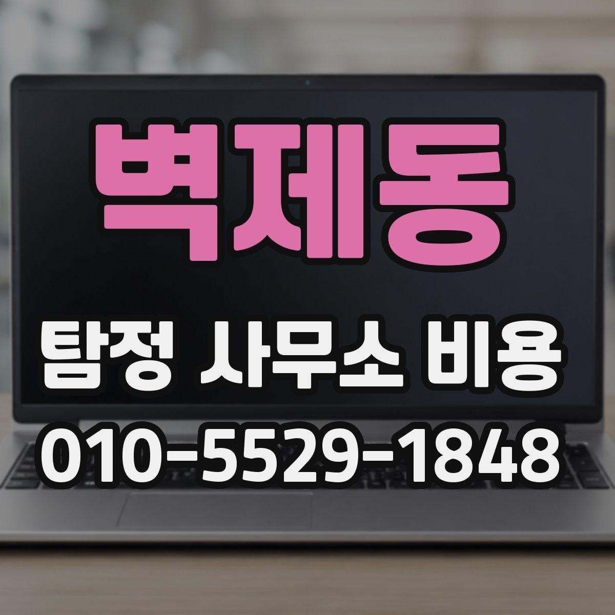 벽제동 탐정 사무소 비용