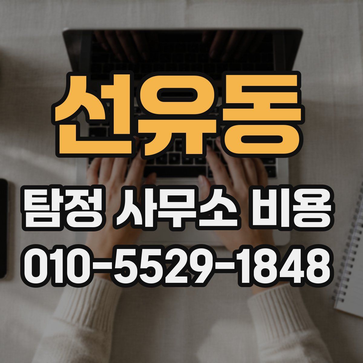 선유동 탐정 사무소 비용