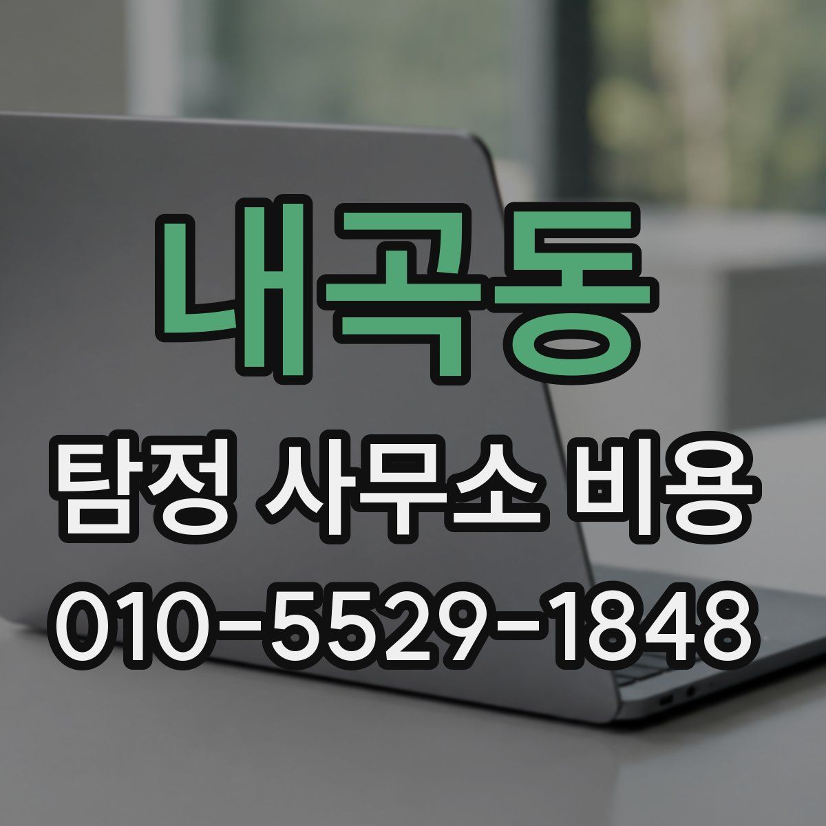 내곡동 탐정 사무소 비용