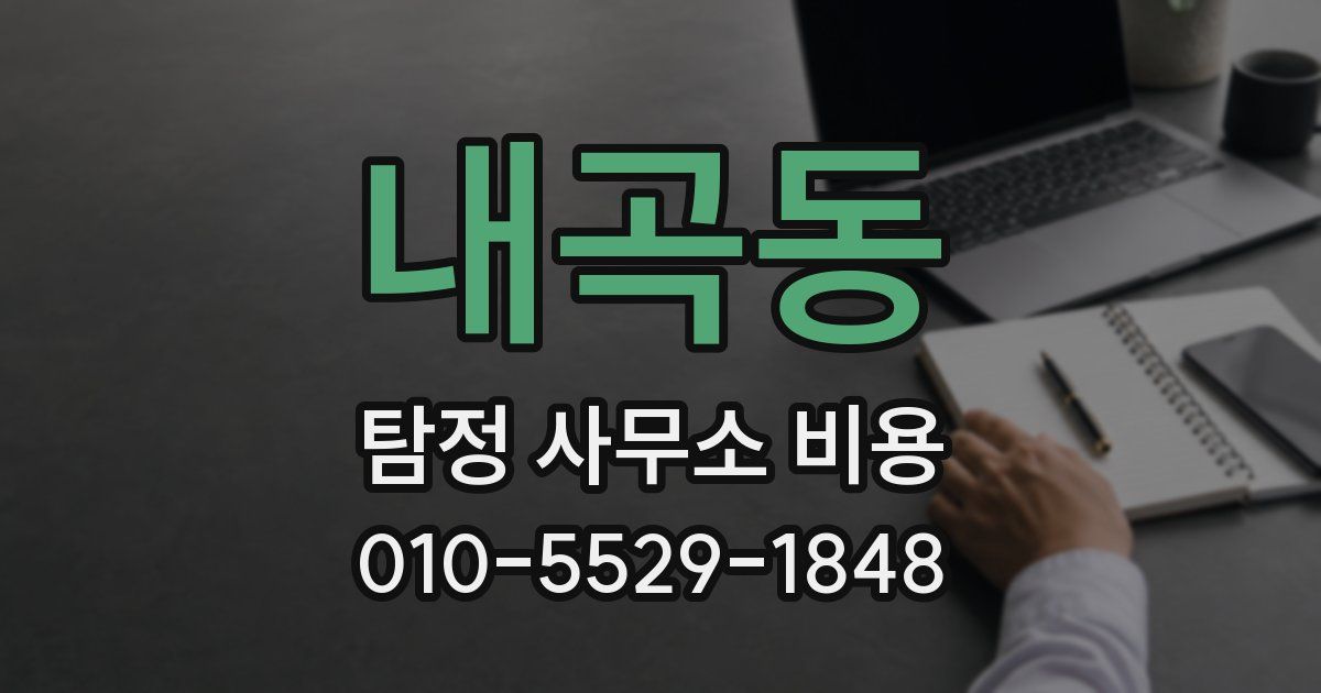 내곡동 탐정 사무소 비용
