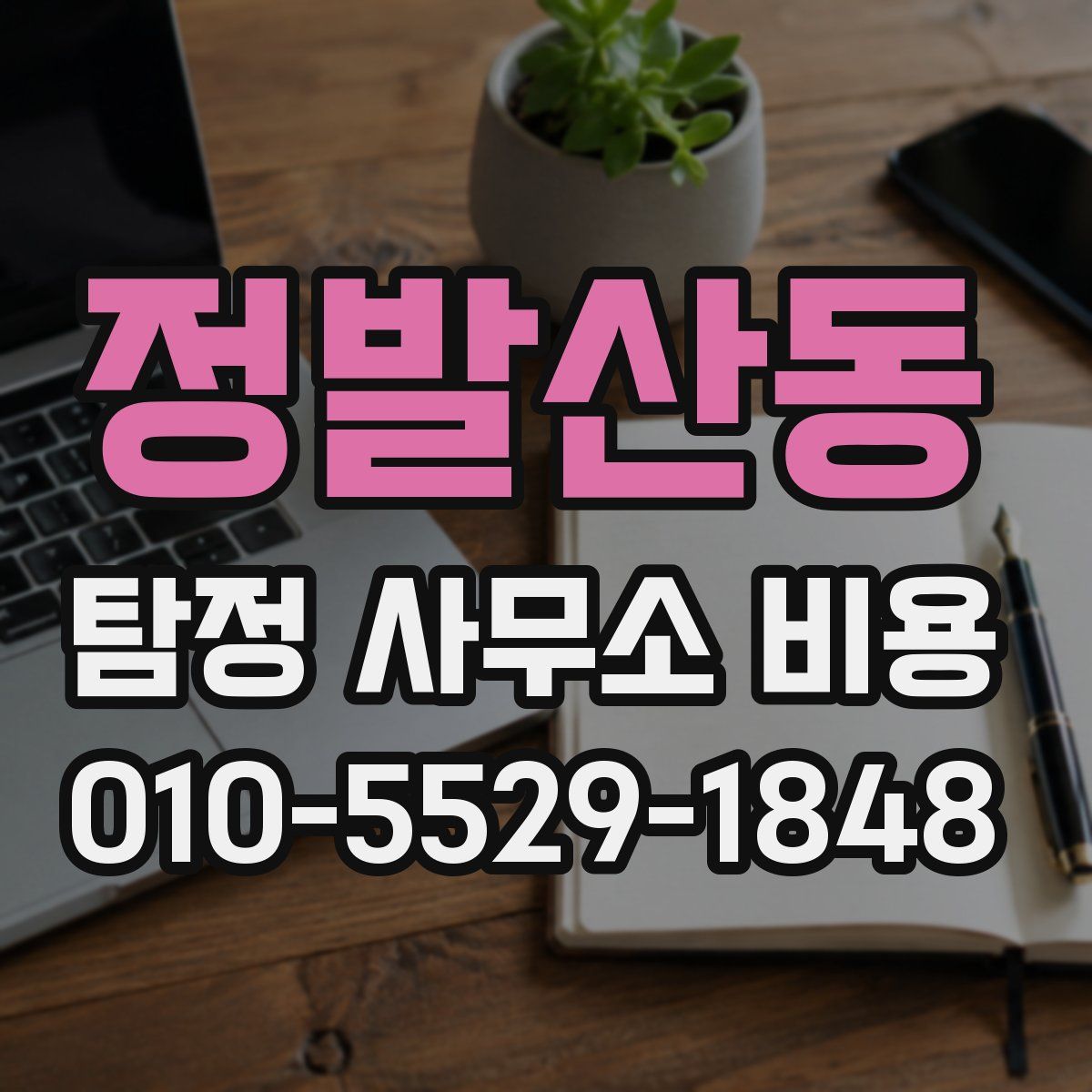 정발산동 탐정 사무소 비용