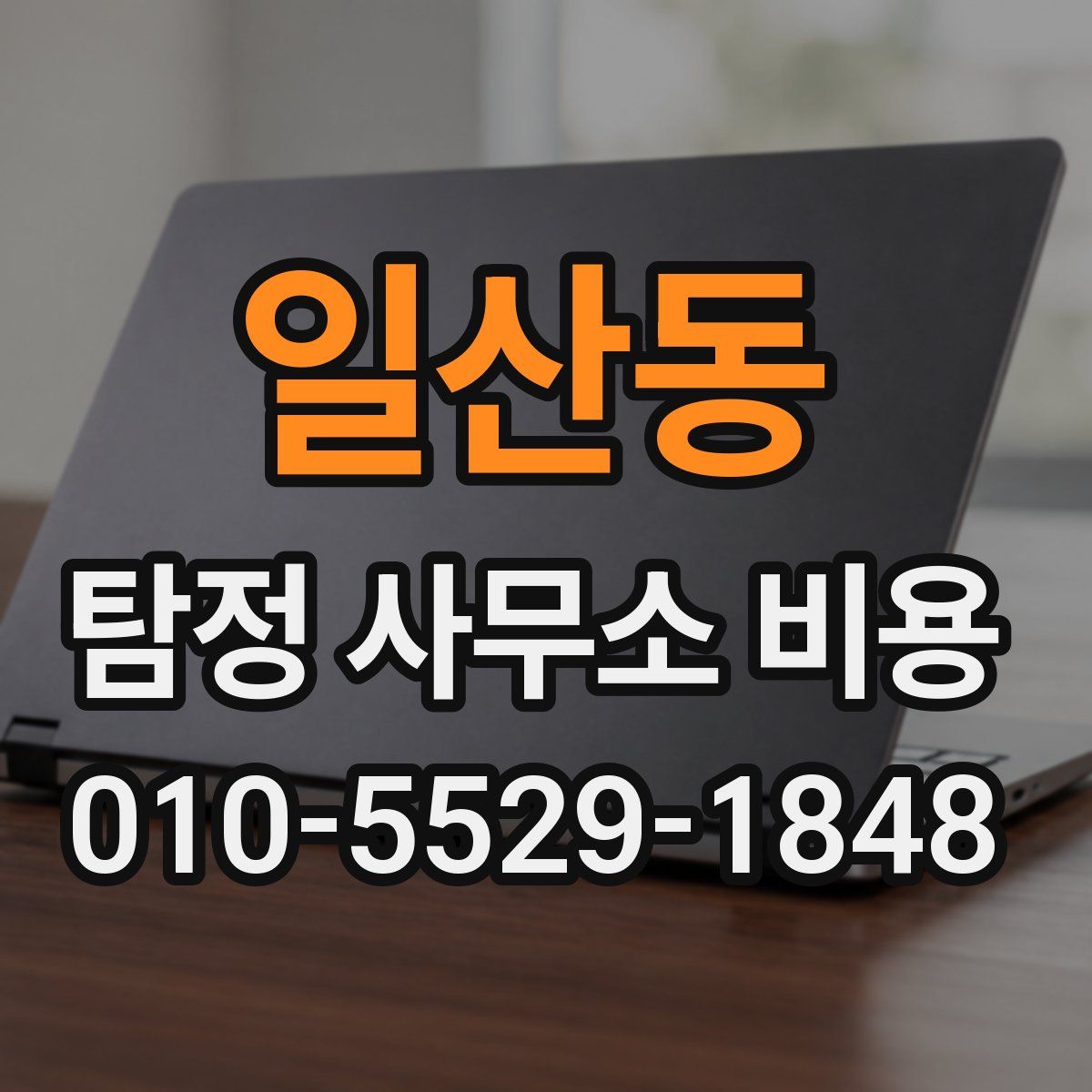 일산동 탐정 사무소 비용
