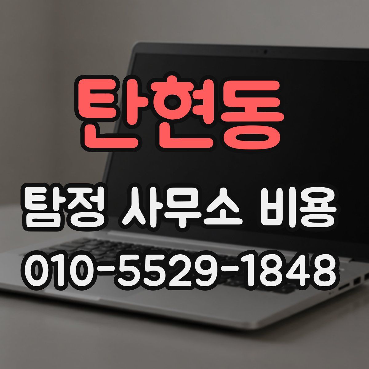 탄현동 탐정 사무소 비용