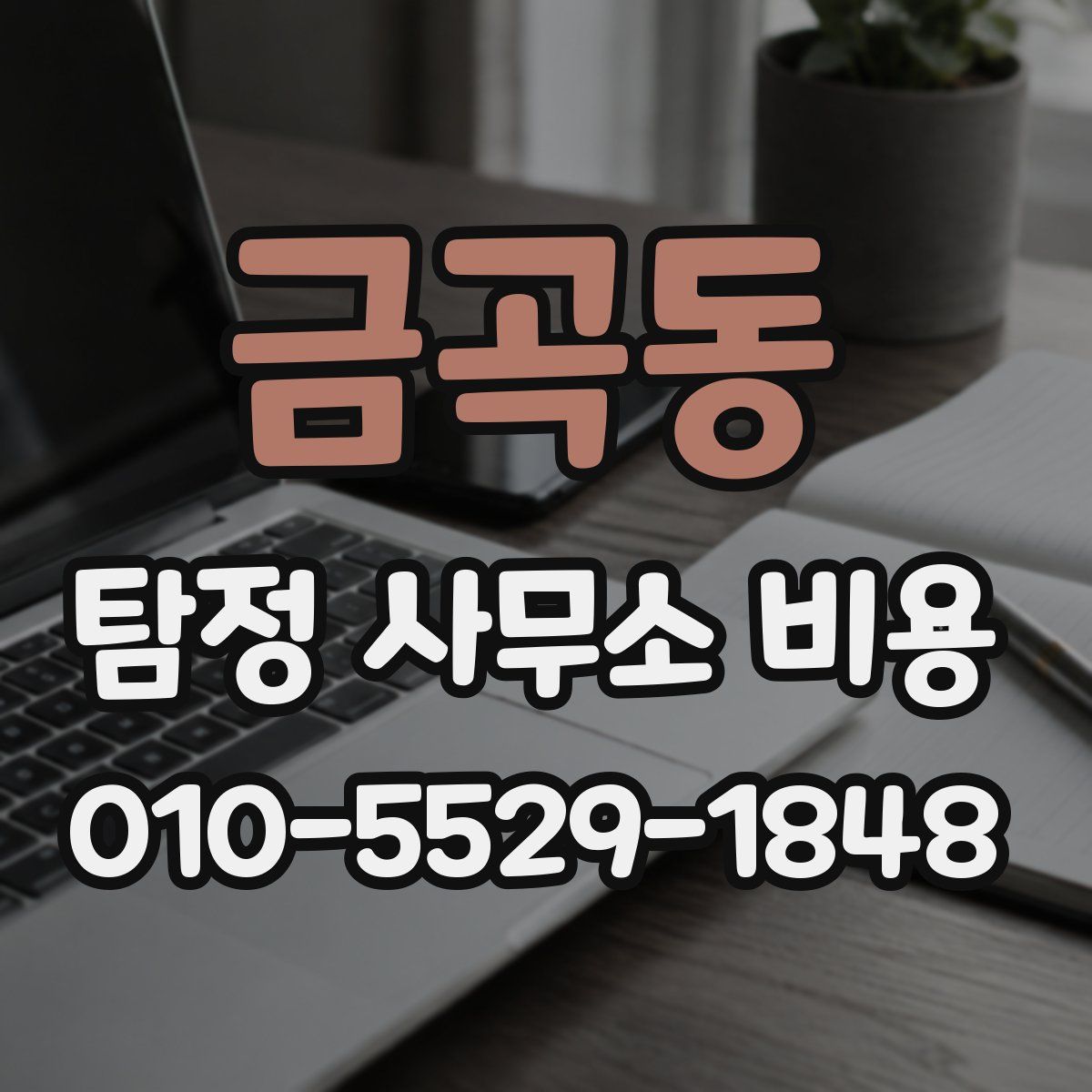 금곡동 탐정 사무소 비용