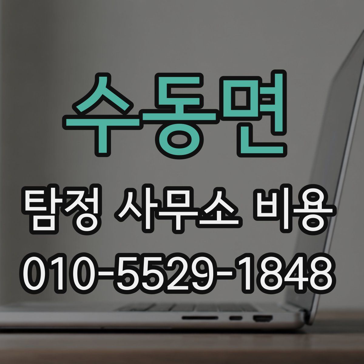 수동면 탐정 사무소 비용