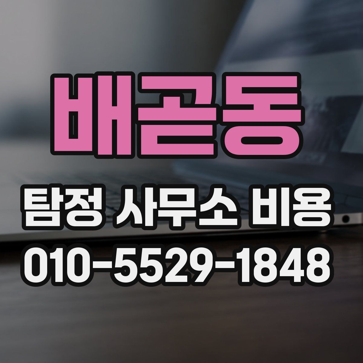 배곧동 탐정 사무소 비용