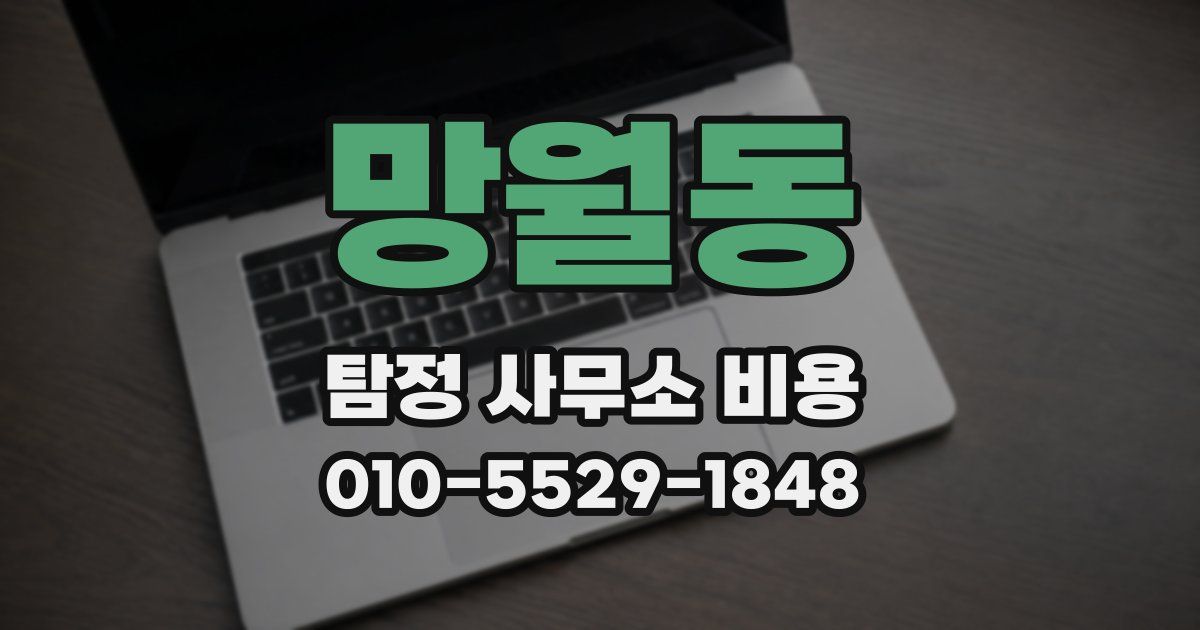 망월동 탐정 사무소 비용