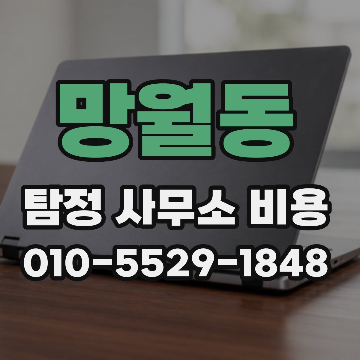 망월동 탐정 사무소 비용