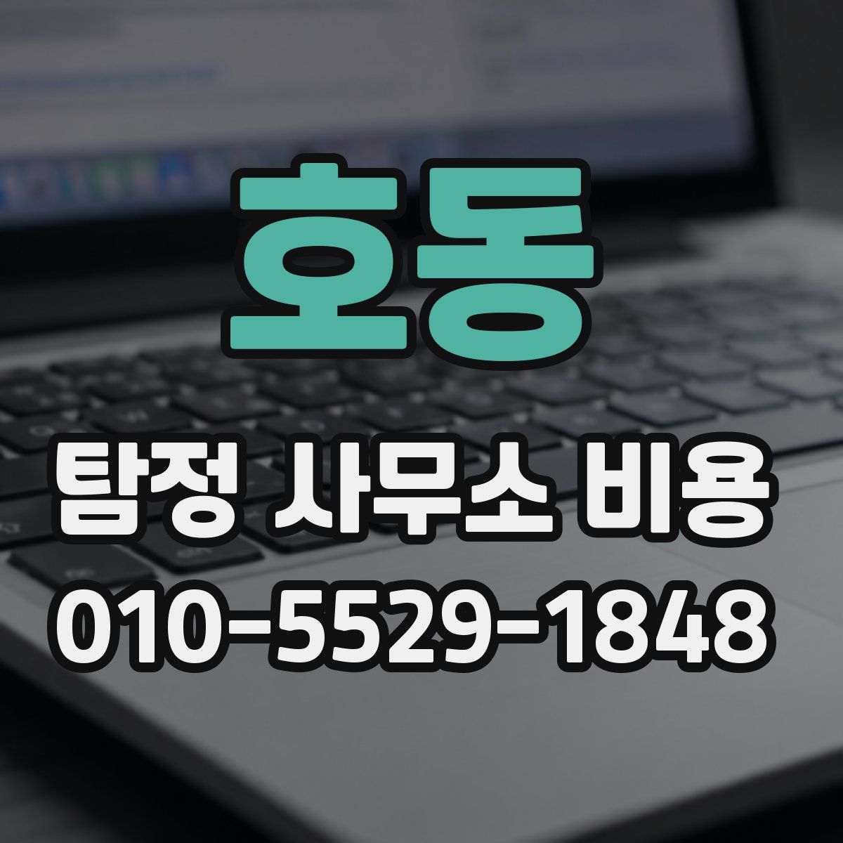 호동 탐정 사무소 비용
