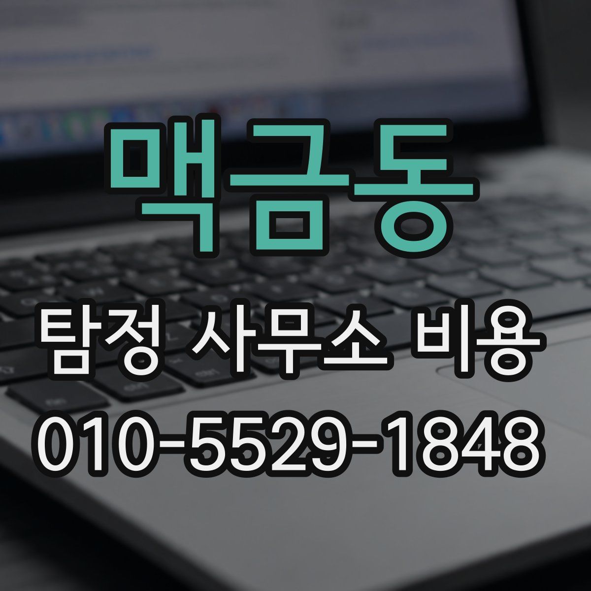 맥금동 탐정 사무소 비용