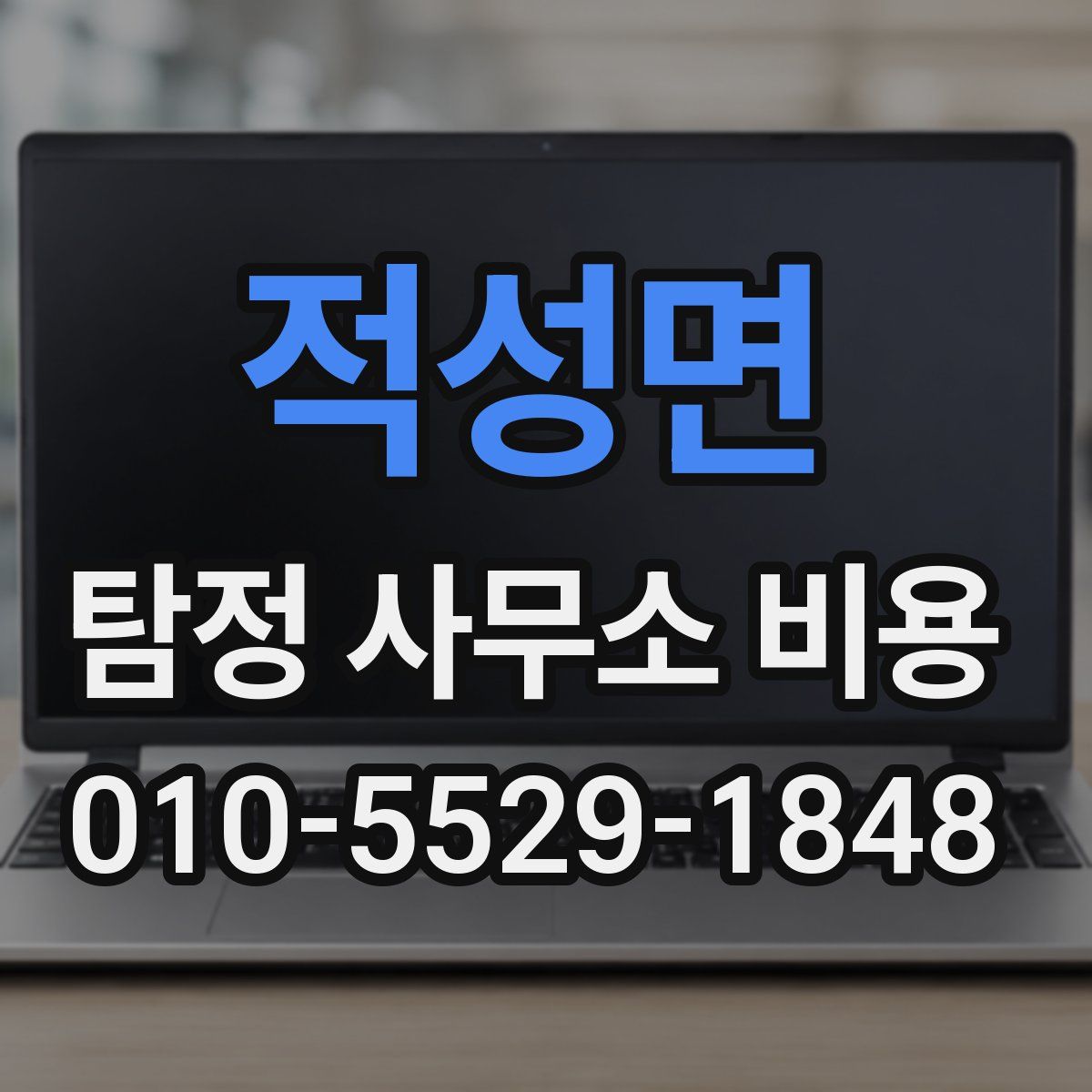 적성면 탐정 사무소 비용