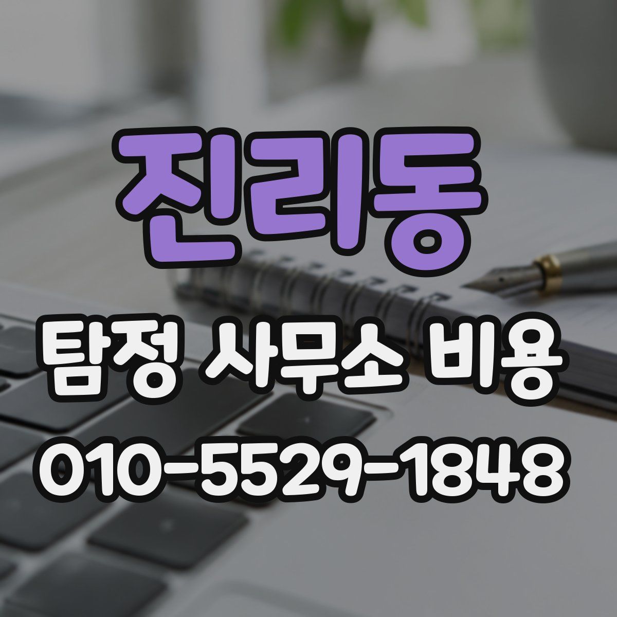 진리동 탐정 사무소 비용
