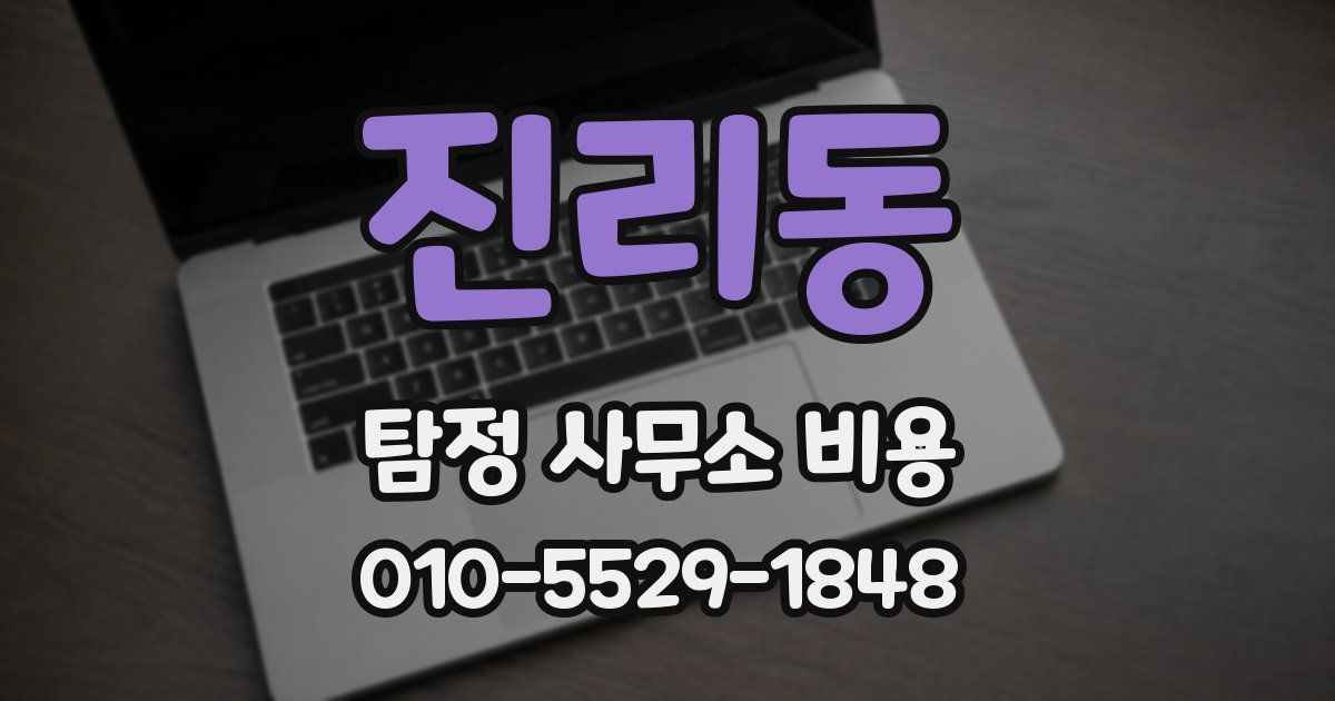 진리동 탐정 사무소 비용