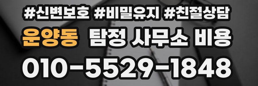 운양동 탐정 사무소 비용