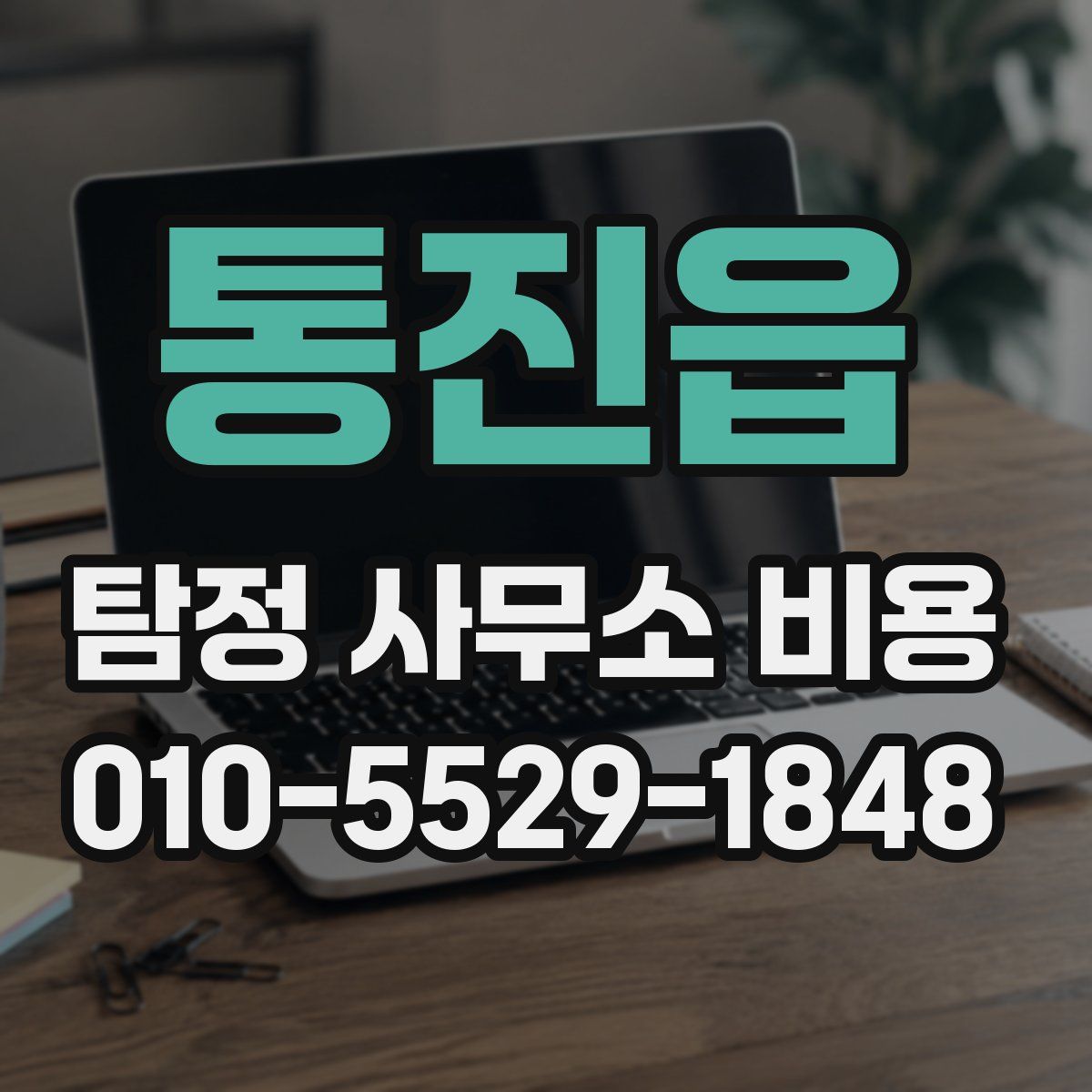 통진읍 탐정 사무소 비용