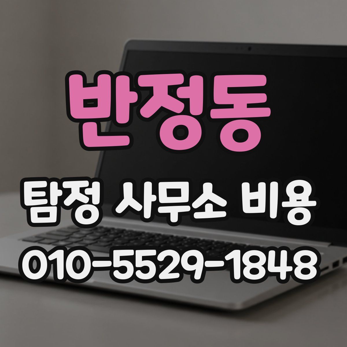 반정동 탐정 사무소 비용
