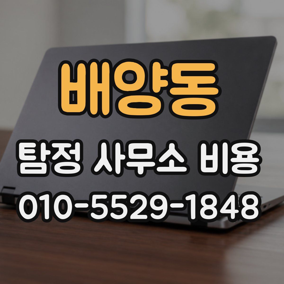배양동 탐정 사무소 비용